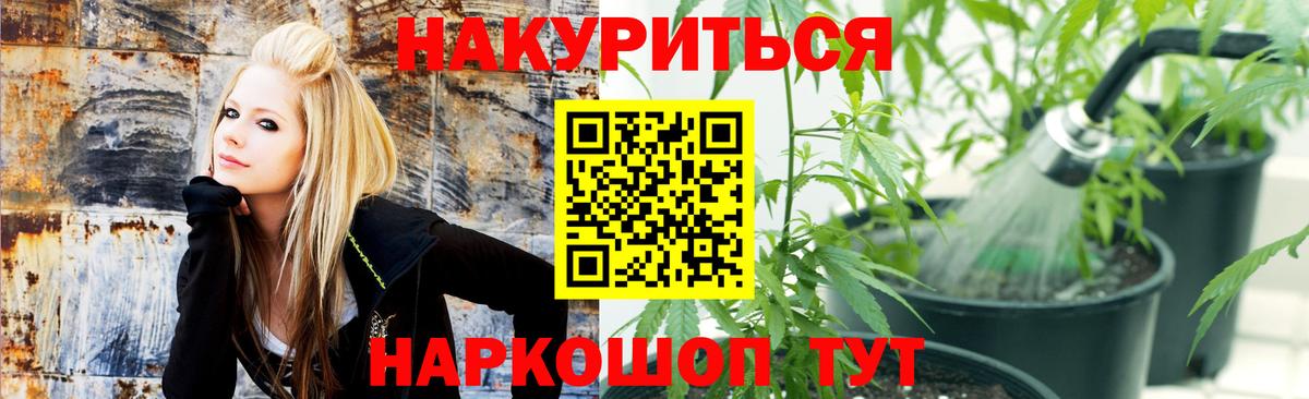 Каннабис планчик  Бошки марихуана MAZAR  Вход с VPN  Марихуана планчик  Тосно 